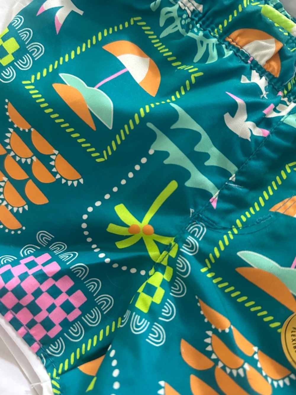 Toddler Boy Swim Trunks - Picture 2 of 6